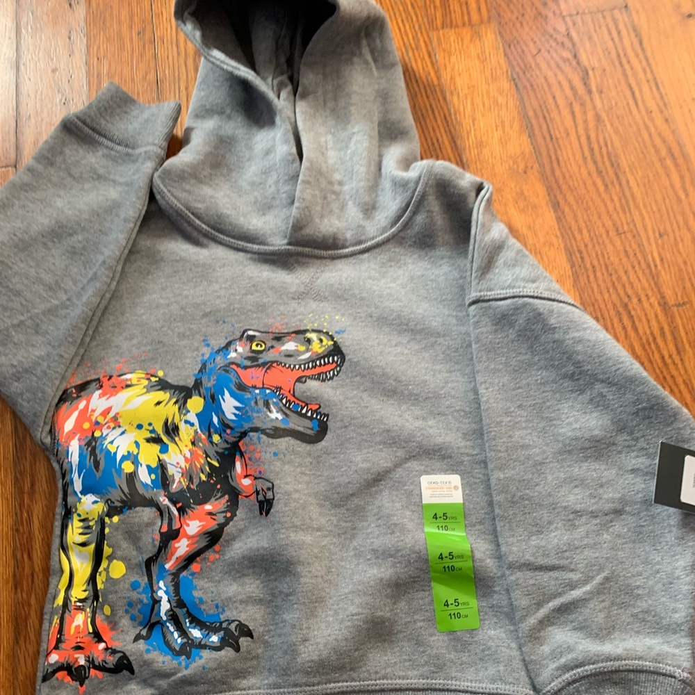 Grey Dino hoodie